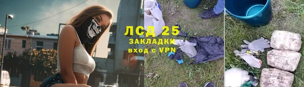 гидра Богданович
