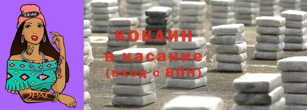 гидра Богданович