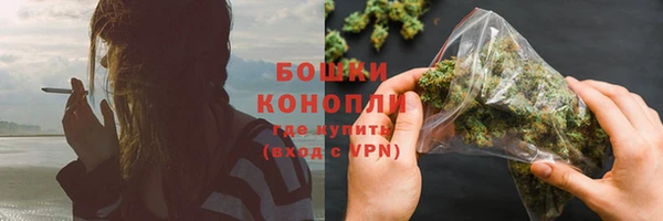 гидра Богданович
