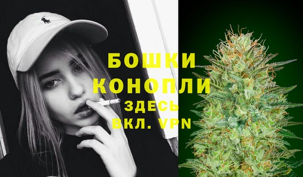 гидра Богданович