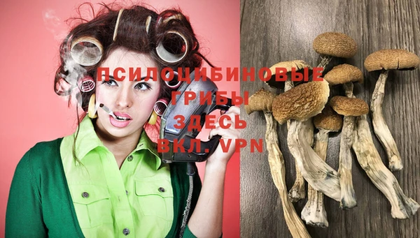 винт Бугульма
