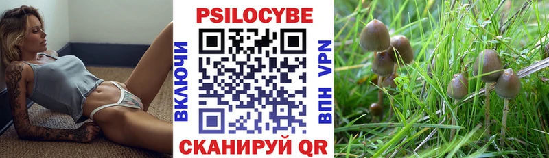 Псилоцибиновые грибы MAGIC MUSHROOMS  omg маркетплейс  Кашин 